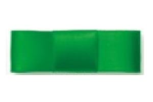 FITA DE CETIM 10M X 10MM VERDE