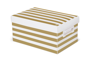 CAIXA POLIBRAS ORGANIZADORA MULTIUSO M- METALIC GOLDEN