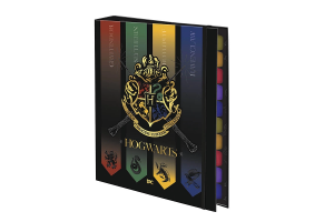 FICHARIO DAC UNIV. HARRY POTTER