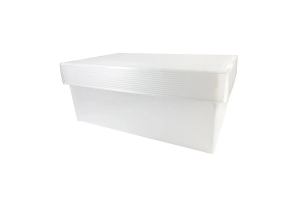 CAIXA POLIBRAS ORGANIZADORA MINI CRISTAL